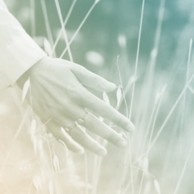 Mindful connection to nature through Shibashi Qi Gong — Fiona McManus